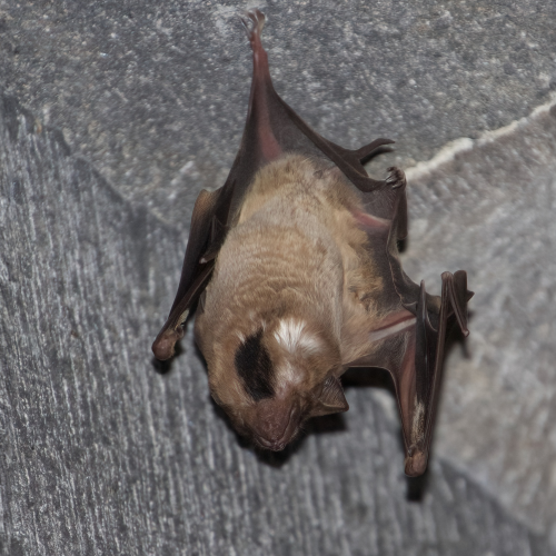 ©jmoulton44 CC BY-NC