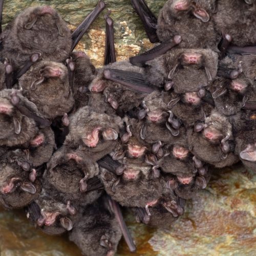 ©Ryosuke Kuwahara CC BY-NC