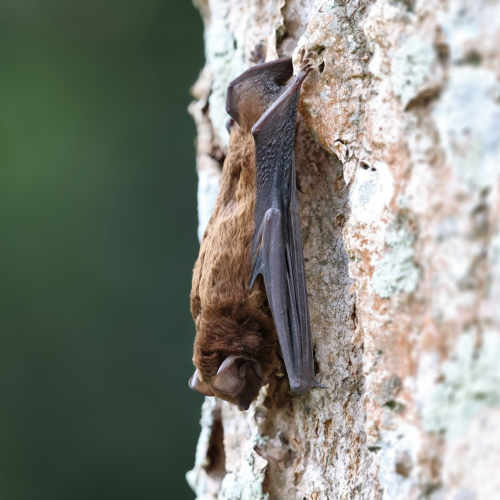 ©羅益旻 (All Right Reserved)