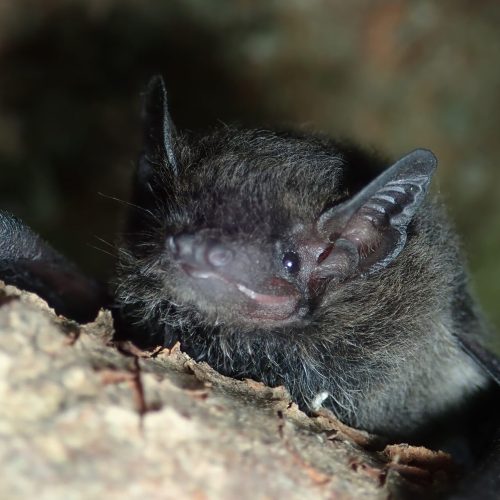 ©葉曉文 (All Right Reserved)