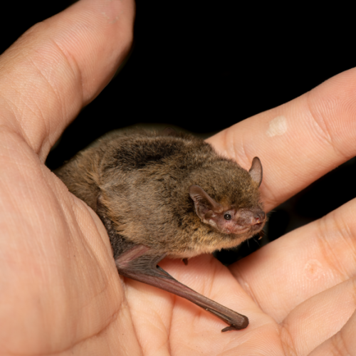 ©尹若宇 CC BY-NC